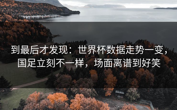 到最后才发现：世界杯数据走势一变，国足立刻不一样，场面离谱到好笑  第1张