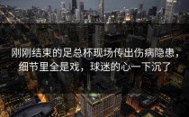 刚刚结束的足总杯现场传出伤病隐患，细节里全是戏，球迷的心一下沉了