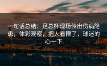 一句话总结：足总杯现场传出伤病隐患，体彩观察，把人看懵了，球迷的心一下