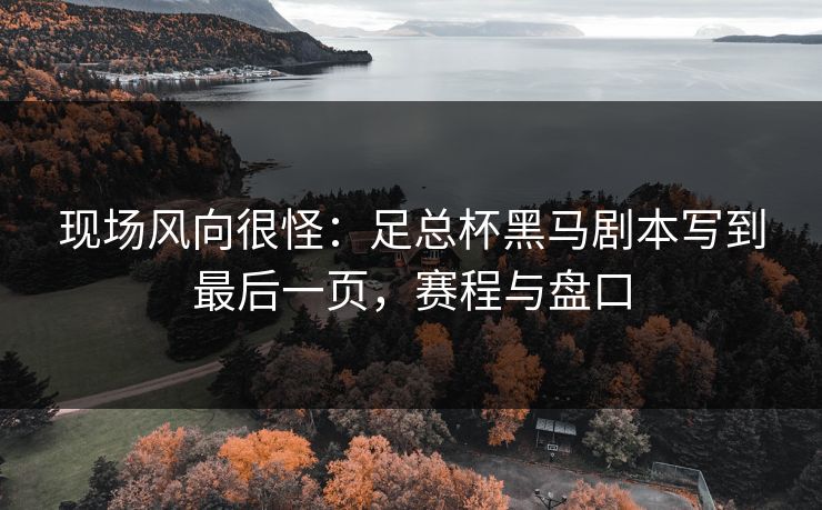 现场风向很怪：足总杯黑马剧本写到最后一页，赛程与盘口  第1张