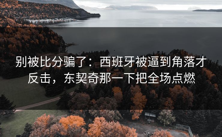 别被比分骗了：西班牙被逼到角落才反击，东契奇那一下把全场点燃  第1张